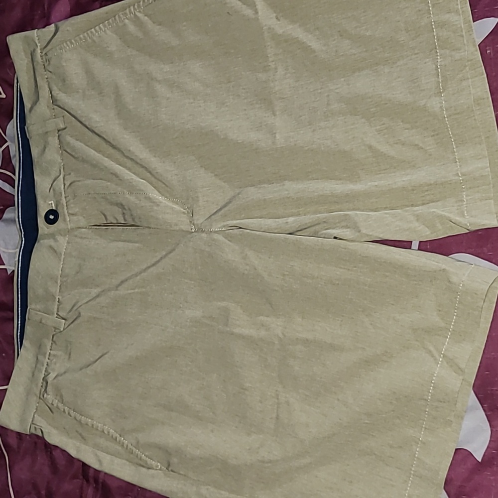 Mens Izod Advantage Performance Shorts 34